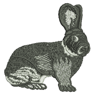 Bunny Rabbit Large 11199