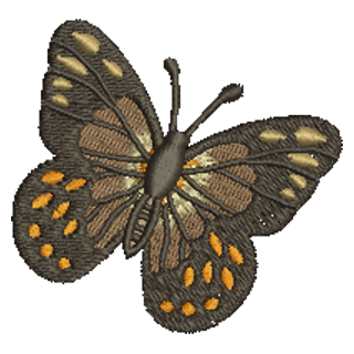 Butterfly 11201