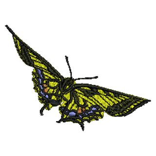Butterfly 11202