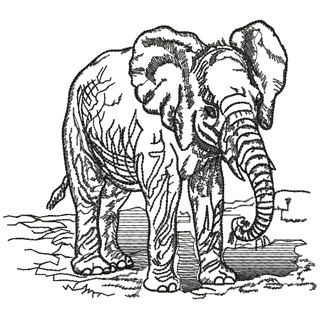 Elephant 12348