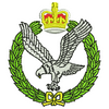 Army Air Corps 11968