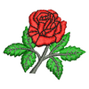 Rose 10762