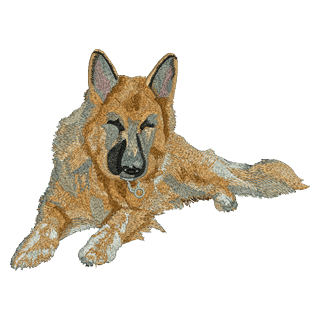 Alsatian 11185