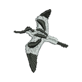 Bird 12659
