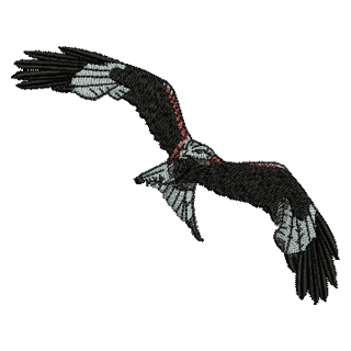 Bird Flying 11195