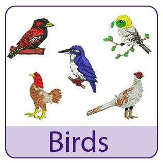 Birds