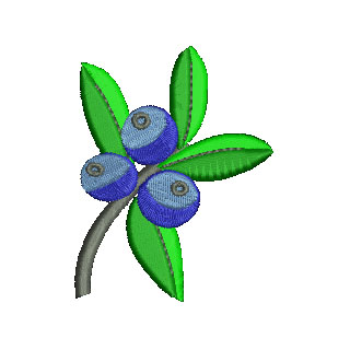 Blueberry 12660