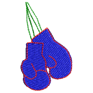 Boxing Gloves 11655