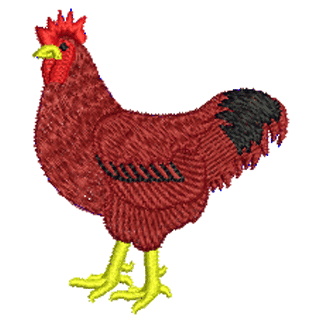 Chicken 12020