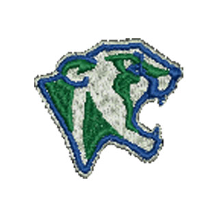 Cougar Head 12691