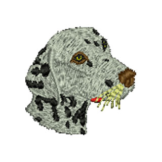 Dalmation 12695