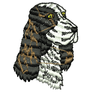 Dog 10893