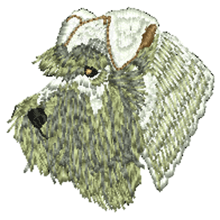Dog 20641