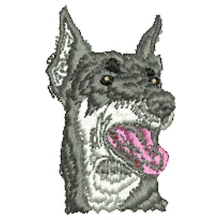 Dog 20652