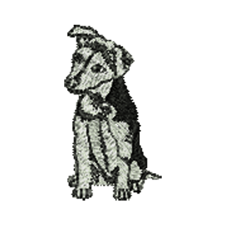 Dog 11218
