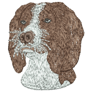 Dog 12339