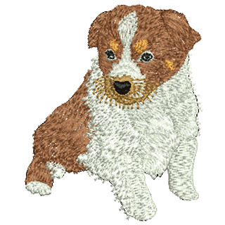 Dog Collie 12552