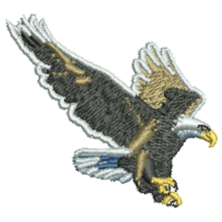 Eagle 12558
