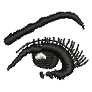 Eye 11508