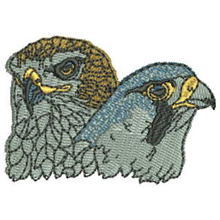 Falcons 12355