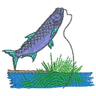 Fishing 20079