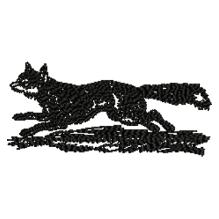Fox 11229