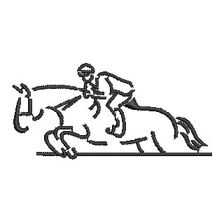 Horse 13828