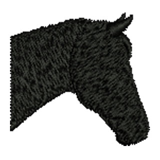 Horse 13832