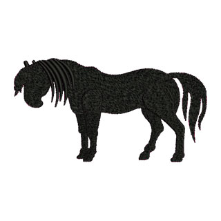 Horse 13838