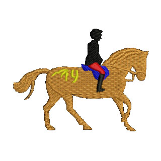 Horse and Rider 13842