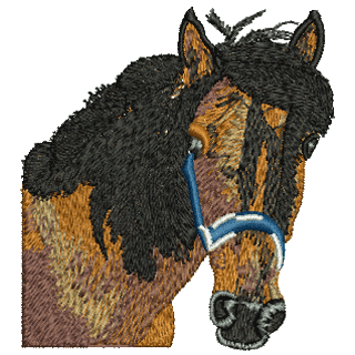 Horses Head 12122
