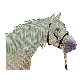 Horses Head 13854