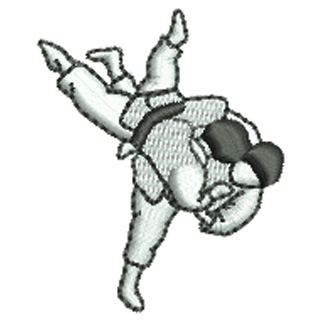 Judo 12576