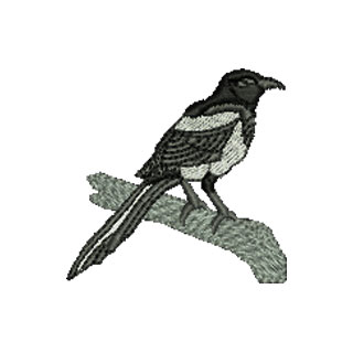 Magpie 12856