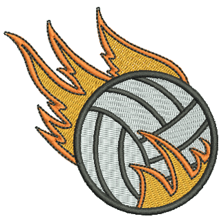 Netball 11675