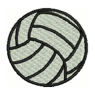 Netball 14028