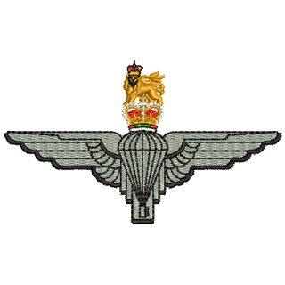 Para 11534