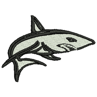 Shark 12211