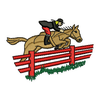 Show Jumper 13863