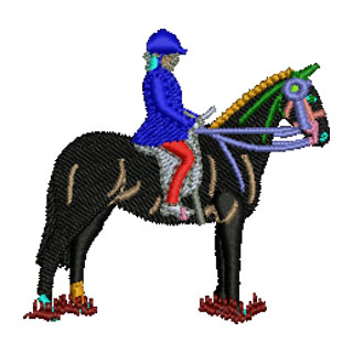 Show Pony 13865