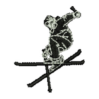 Skier 13441