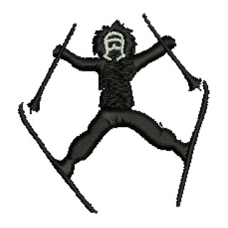 Skiier 13445