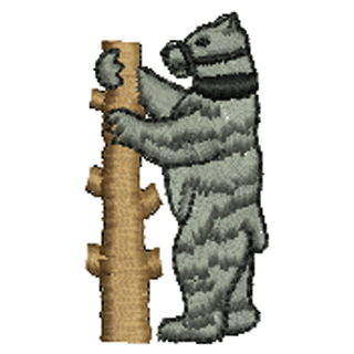 Bear 10800