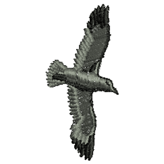 Bird 10390