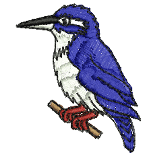 Bird 10396