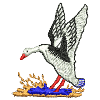 Bird 10397