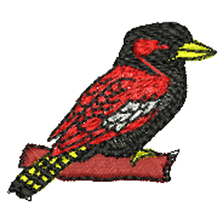 Bird 10627