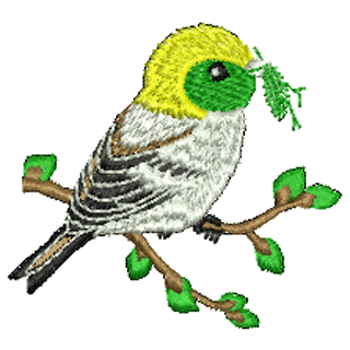Bird 10973