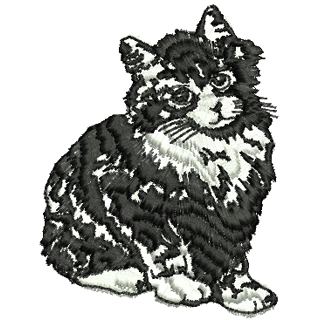 Cat 11165