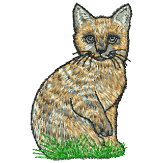 Cat 11167